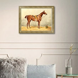 «Оседланная лошадь в конюшне» в интерьере в классическом стиле в светлых тонах