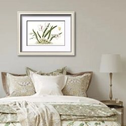 «Two-coloured Leptotes» в интерьере спальни в стиле прованс над кроватью