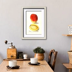 «Мангифера индийская: Мульгоба» в интерьере кухни над обеденным столом с кофемолкой