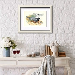 «Black Tern; Great Shearwater» в интерьере в стиле прованс над столиком