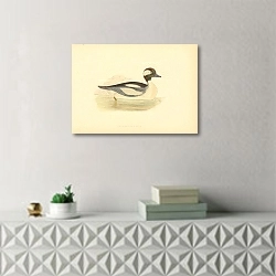 «Buffel-Headed Duck 2» в интерьере комнаты с белым резным комодом