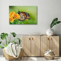 «Бабочка Monarch butterfly (Danaus plexippus)» в интерьере современной комнаты над комодом