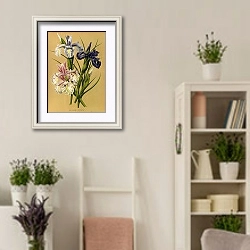 «Ирис мечевидный» в интерьере комнаты в стиле прованс с цветами лаванды