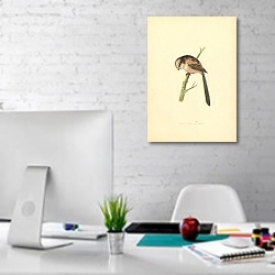 «Long-Tailed Titmouse 1» в интерьере офиса в белом цвете