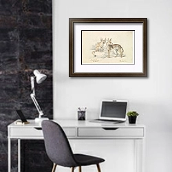 «Фенек из Брюса и Фенек с красной спинкой» в интерьере кабинета в черно-белых цветах