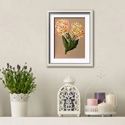 «Махровый тюльпан Рафаэль.» в интерьере в стиле прованс с лавандой и свечами