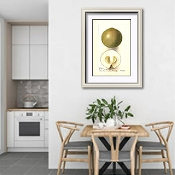 «Казимироа эдулис: Сапота Бланко» в интерьере кухни в светлых тонах над обеденным столом