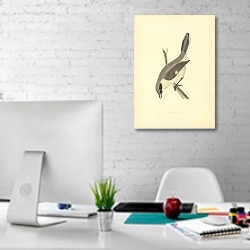 «Grey Shrike 3» в интерьере офиса в белом цвете