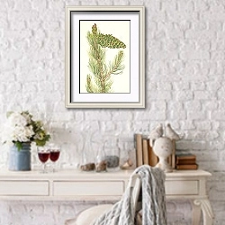 «Сосна гибкая. Pinus flexilis» в интерьере в стиле прованс над столиком