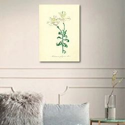 «Alstroemeria Pelegrina Alba» в интерьере комнаты с белыми стенами