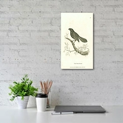 «Wattle-Bird» в интерьере офиса над столом