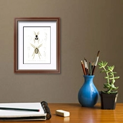 «Arachnida Acaridea Pl 04» в интерьере кабинета с бежевыми стенами над столом