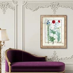 «Ms Fr. Fv VI #1 fol.130r Linum, Garden poppies and Abrotanum c.1470» в интерьере в классическом стиле над банкеткой