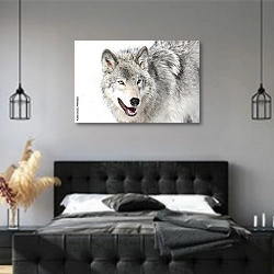 «Серый волк» в интерьере современной спальни с черной кроватью