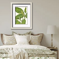 «Cucumbertree. Magnolia acuminata» в интерьере спальни в стиле прованс над кроватью