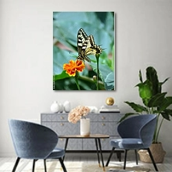 «Чёрно-белая бабочка на оранжевом цветке гвоздики» в интерьере современной гостиной над комодом