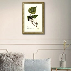 «Ежевика: Голт» в интерьере в классическом стиле в светлых тонах