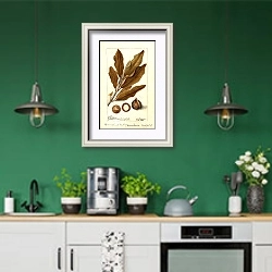 «Макадамия трехлистная» в интерьере кухни с зелеными стенами