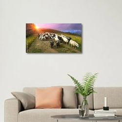 «Стадо овец в Карпатах на закате» в интерьере современной светлой гостиной над диваном