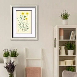 «Baeria chrysostoma» в интерьере комнаты в стиле прованс с цветами лаванды