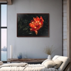 «Красивое фото оранжевого тюльпана на темном фоне крупным планом.» в интерьере 