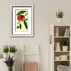 «Персик Ноблес» в интерьере комнаты в стиле прованс с цветами лаванды