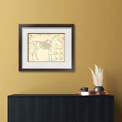 «Skeleton, or Bony Structure of the Horse» в интерьере в черно-золотом цвете