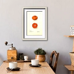 «Citrus sinensis: Ранний сорт Ун-Шу» в интерьере кухни над обеденным столом с кофемолкой