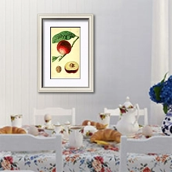 «Обыкновенный нектарин Elruge» в интерьере столовой в стиле прованс над столом