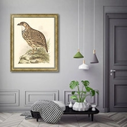 «Куропатка» в интерьере коридора в классическом стиле