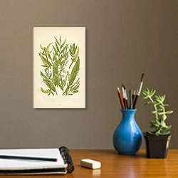«Common White Willow, Yellow w. or Golden Osier, Dark Long Leaved w., Rosemary Leaved w. 1» в интерьере кабинета с бежевыми стенами