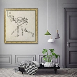 «Human Skeleton: Lateral view in Crouching Posture» в интерьере коридора в классическом стиле