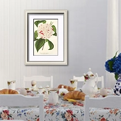 «Camellia Angelo Cocchi» в интерьере столовой в стиле прованс над столом