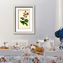 «Salvia Strictiflora» в интерьере столовой в стиле прованс над столом