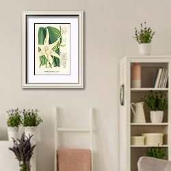 «Angræcum sesquipedale» в интерьере комнаты в стиле прованс с цветами лаванды