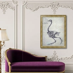 «The Skeleton of a Fowl, 1795-1806» в интерьере в классическом стиле над банкеткой