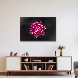 «Фото яркого тюльпана с розовыми лепестками с белыми прожилками. Тюльпан в виде звезды на темном фоне» в интерьере 