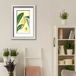 «Белый нектарин» в интерьере комнаты в стиле прованс с цветами лаванды