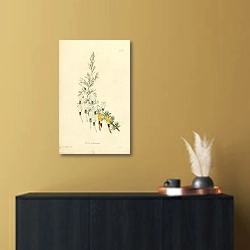 «Erica Melastoma 1» в интерьере в черно-золотом цвете