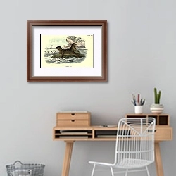 «BRITISH MAMMAL 1896 COMMON SEAL» в интерьере кабинета с деревянным столом