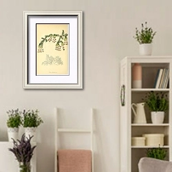 «Erica Banksiana» в интерьере комнаты в стиле прованс с цветами лаванды