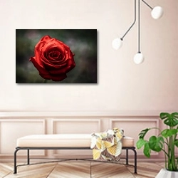 «Большая алая роза » в интерьере современной прихожей в розовых тонах