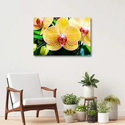 «Желтая орхидея. Макро» в интерьере современной комнаты над креслом