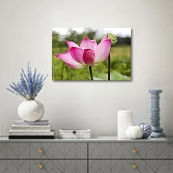 «Красивый цветок розовой лилии» в интерьере современной гостиной с голубыми деталями