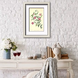 «Chironia Floribunda» в интерьере в стиле прованс над столиком