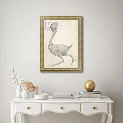 «Fowl: Lateral view with Most Feathers Removed» в интерьере в классическом стиле над столом