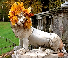 Идеи для осенних фотографий на природе