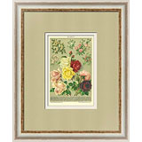 Старинные картины с растениями и животными в подарок