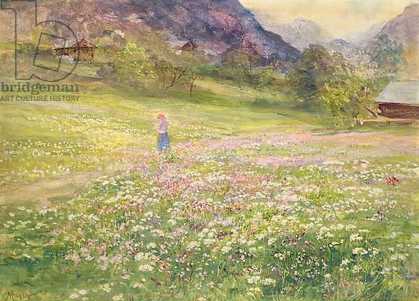 Постер Girl in a Field of Poppies с типом исполнения На холсте без рамы