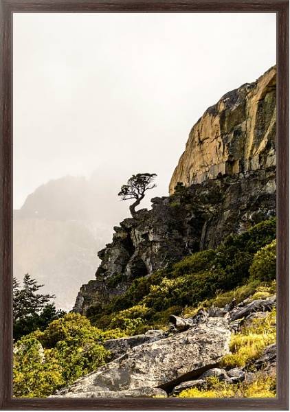 Постер Сосна на крутом обрыве, национальный парк Торрес-дель-Пейн, Чили с типом исполнения На холсте в раме в багетной раме 221-02